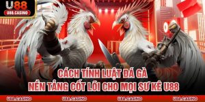 Cách Tính Luật Đá Gà - Nền Tảng Cốt Lõi Cho Mọi Sư Kê U88