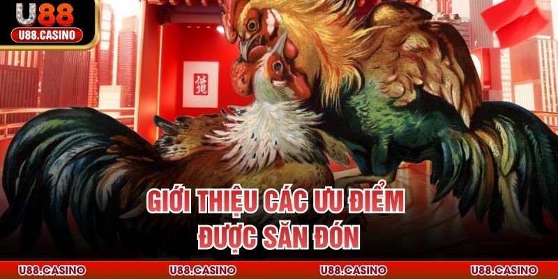 Giới thiệu các ưu điểm được săn đón